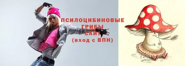 метадон Лабытнанги