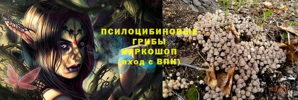 apvp Лихославль